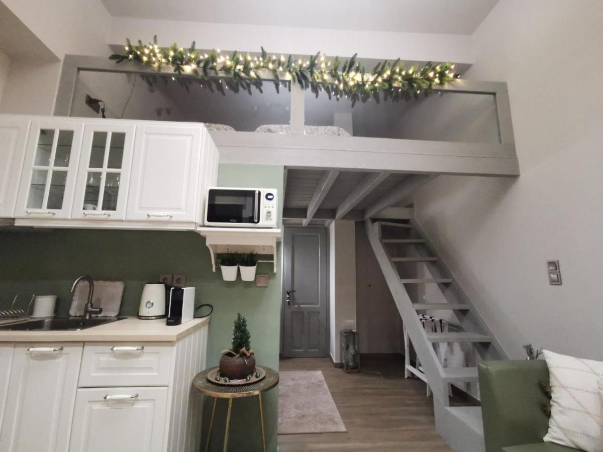 Casa Carina, Arachova公寓 外观 照片